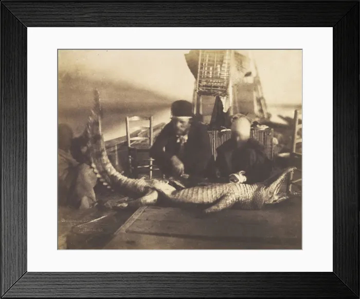 Framed Print : Autopsy of the First Crocodile Onboard, Upper Egypt, 1852. Creator: Ernest Benecke Framed Print : Autopsy of the First Crocodile Onboard, Upper Egypt, 1852. Creator: Ernest Benecke