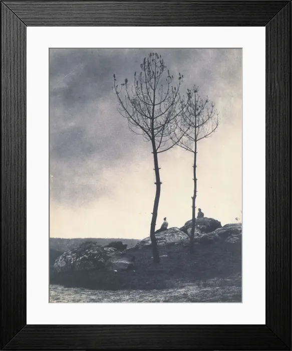 Framed Print : Pres de la Caverne, Terrain Brule, early 1860s Framed Print : Pres de la Caverne, Terrain Brule, early 1860s