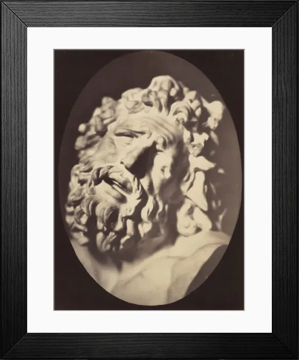Framed Print : Figure 70: Head of the Laocoon of Rome, 1854-56, printed 1862. Creators: Duchenne de Boulogne, Adrien Alban Tournachon Framed Print : Figure 70: Head of the Laocoon of Rome, 1854-56, printed 1862. Creators: Duchenne de Boulogne, Adrien Alban Tournachon
