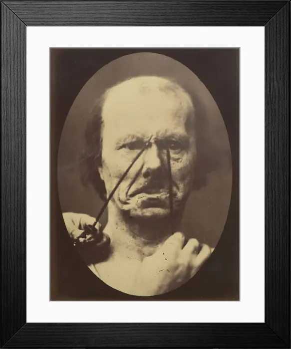 Framed Print : Figure 18: Aggression, wickedness, 1854-56, printed 1862 Framed Print : Figure 18: Aggression, wickedness, 1854-56, printed 1862
