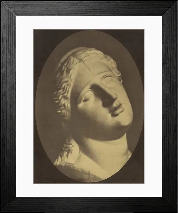 Framed Print : Figure 73: Head of Niobe, 1854-56, printed 1862. Creators: Duchenne de Boulogne Framed Print : Figure 73: Head of Niobe, 1854-56, printed 1862. Creators: Duchenne de Boulogne