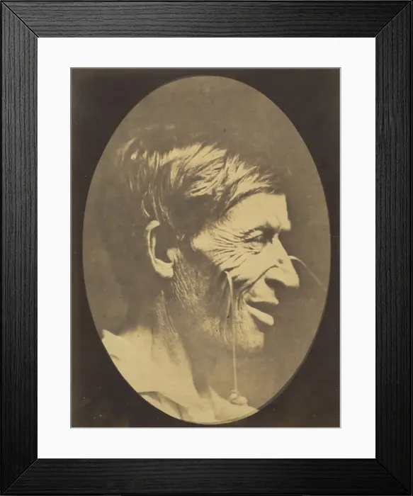 Framed Print : Figure 42: Gaiety expressed by the ideas of lustfulness, cynicism, and le Framed Print : Figure 42: Gaiety expressed by the ideas of lustfulness, cynicism, and le