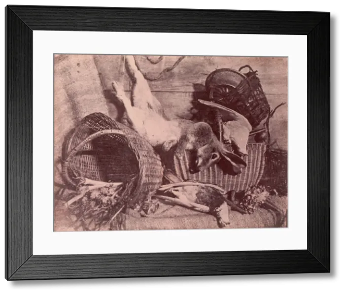 Framed Print : Nature morte au lievre, 1853. Creator: Unknown Framed Print : Nature morte au lievre, 1853. Creator: Unknown