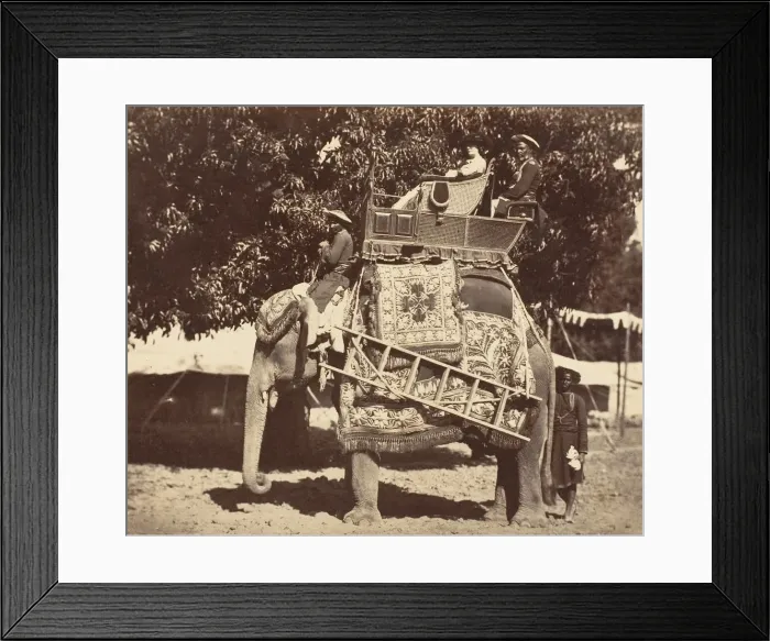 Framed Print : Lady Canning, 1858-61. Creator: Unknown Framed Print : Lady Canning, 1858-61. Creator: Unknown