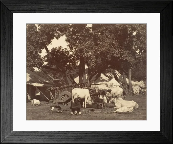 Framed Print : Scene in Camp] 1858-61. Creator: Unknown