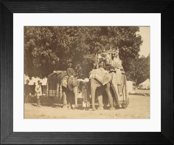 Framed Print : Governor Generals State Elephant and Silver Howdah, 1858-61. Creator: Unknown Framed Print : Governor Generals State Elephant and Silver Howdah, 1858-61. Creator: Unknown
