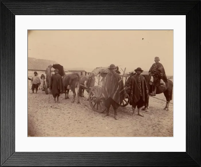 Framed Print : Group of Indians with Cart and Oxen, 1880s. Creator: Unknown Framed Print : Group of Indians with Cart and Oxen, 1880s. Creator: Unknown