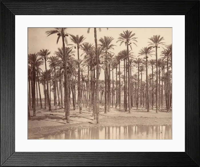 Framed Print : Temple de Cathers a Saqqarah, 1880s. Creator: Unknown Framed Print : Temple de Cathers a Saqqarah, 1880s. Creator: Unknown