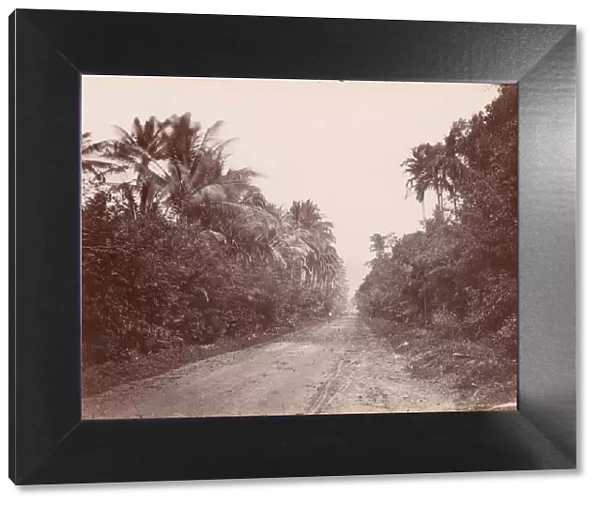 Road Near Singapore, 1860s-70s. Creator: Unknown