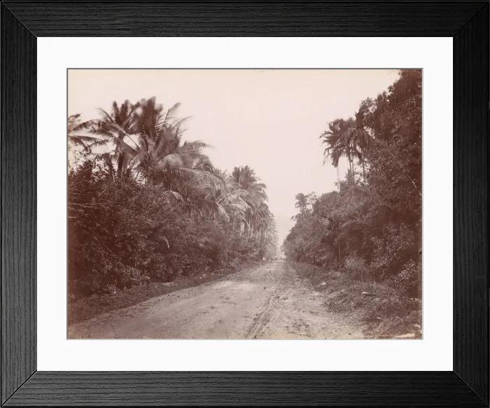 Framed Print : Road Near Singapore, 1860s-70s. Creator: Unknown Framed Print : Road Near Singapore, 1860s-70s. Creator: Unknown