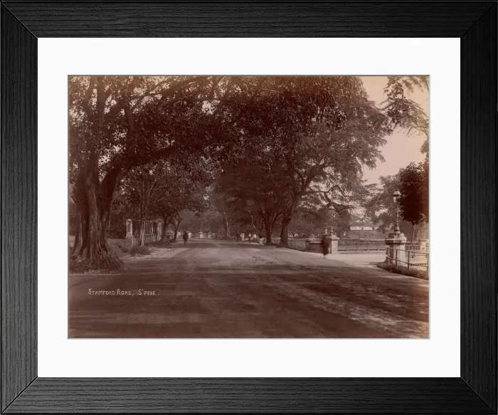 Framed Print : Stamford Road, Singapore, 1860s-70s. Creator: Unknown Framed Print : Stamford Road, Singapore, 1860s-70s. Creator: Unknown