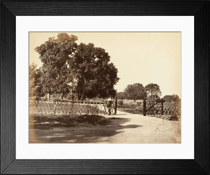 Framed Print : View of Garden, 1850s. Creator: Unknown Framed Print : View of Garden, 1850s. Creator: Unknown