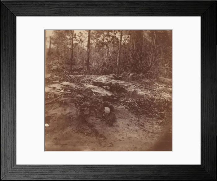 Framed Print : The Wilderness Battlefield, 1864. Creator: Unknown Framed Print : The Wilderness Battlefield, 1864. Creator: Unknown