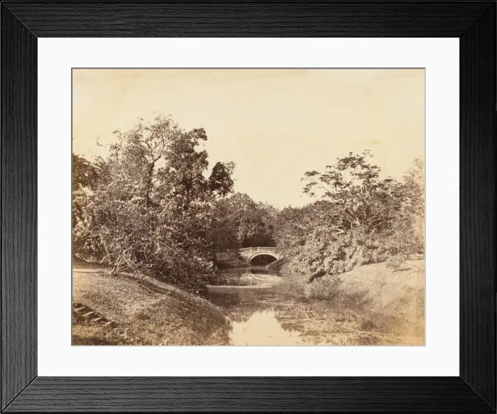 Framed Print : Botanical Gardens, Calcutta, 1850s. Creator: Unknown Framed Print : Botanical Gardens, Calcutta, 1850s. Creator: Unknown