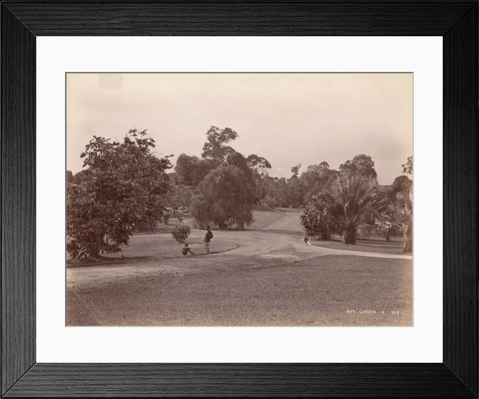 Framed Print : Botanical Garden, 1860s-70s. Creator: Unknown Framed Print : Botanical Garden, 1860s-70s. Creator: Unknown