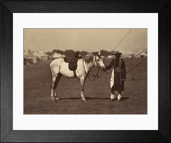 Framed Print : Lady Cannings Grey Arab, 1858-61. Creator: Unknown Framed Print : Lady Cannings Grey Arab, 1858-61. Creator: Unknown