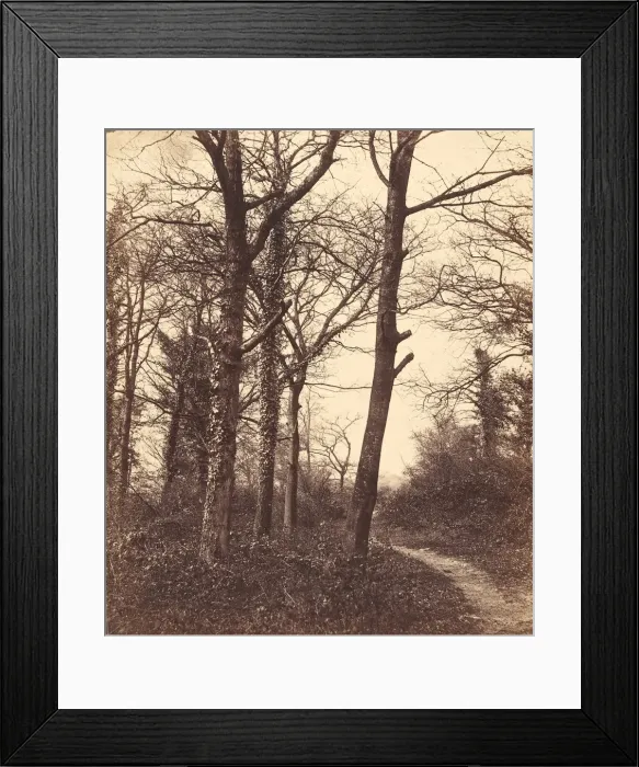 Framed Print : Winter, 1855. Creator: Charles Conway Framed Print : Winter, 1855. Creator: Charles Conway