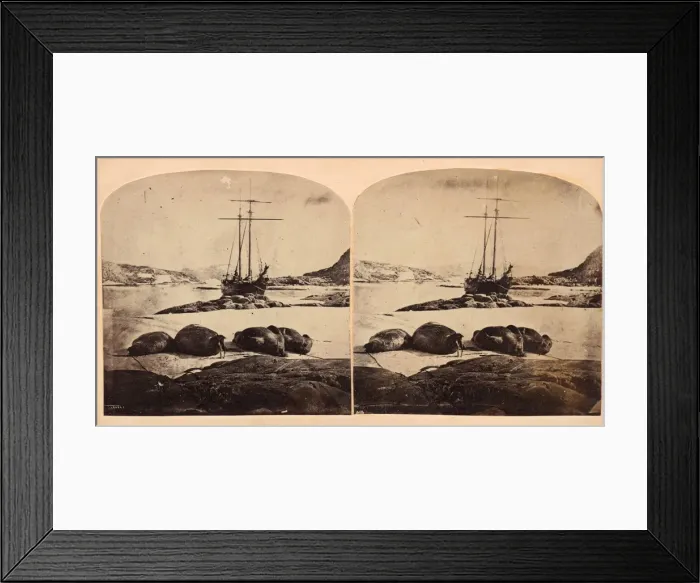 Framed Print : Scene de la mer glacial, ca. 1859. Creator: Isaac Israel Hayes Framed Print : Scene de la mer glacial, ca. 1859. Creator: Isaac Israel Hayes