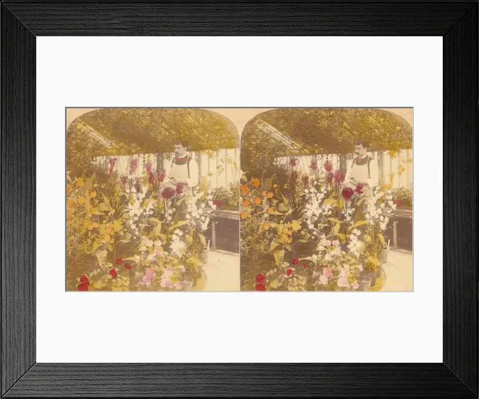 Framed Print : Pair of Stereograph Views of the Royal Botanic Gardens, Kew Gardens, London, England Framed Print : Pair of Stereograph Views of the Royal Botanic Gardens, Kew Gardens, London, England