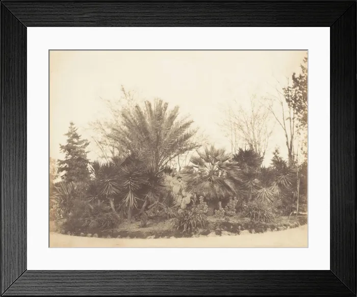 Framed Print : Pincian Garden, Rome, 1853-56. Creator: Possibly by Jane Martha St. John Framed Print : Pincian Garden, Rome, 1853-56. Creator: Possibly by Jane Martha St. John