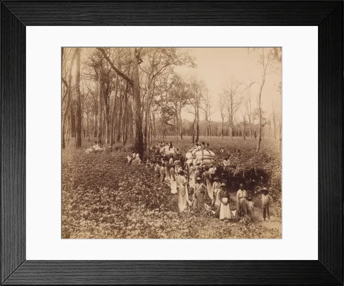 Framed Print : 12 O clock in the Deadening, ca. 1891. Creator: John Horgan Framed Print : 12 O clock in the Deadening, ca. 1891. Creator: John Horgan