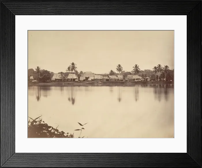 Framed Print : Tropical Scenery, Santa Maria del Real, Darien, 1871. Creator: John Moran