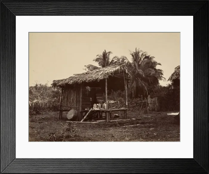Framed Print : Tropical Scenery, Native Hut, Turbo, 1871. Creator: John Moran