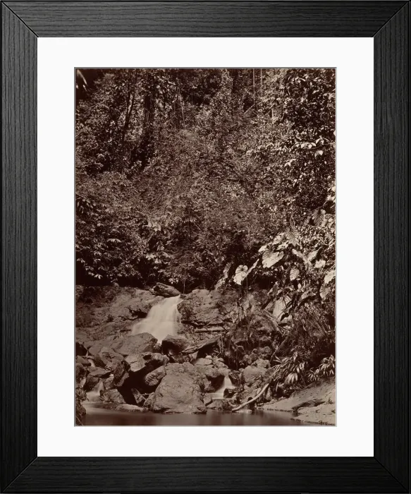 Framed Print : Tropical Scenery, Cascade, Limon River, 1871. Creator: John Moran Framed Print : Tropical Scenery, Cascade, Limon River, 1871. Creator: John Moran