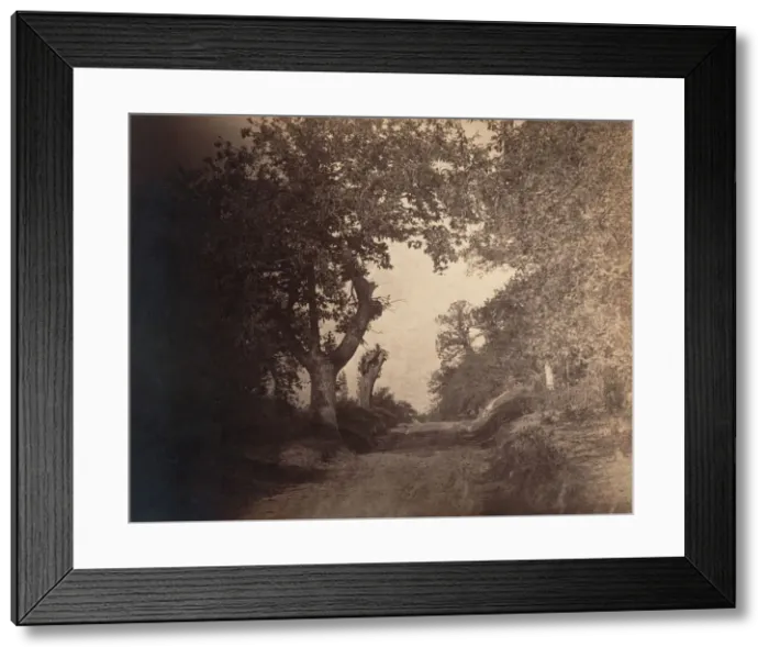 Framed Print : Fontainebleau, chemin sablonneux montant, ca. 1856. Creator: Gustave Le Gray Framed Print : Fontainebleau, chemin sablonneux montant, ca. 1856. Creator: Gustave Le Gray