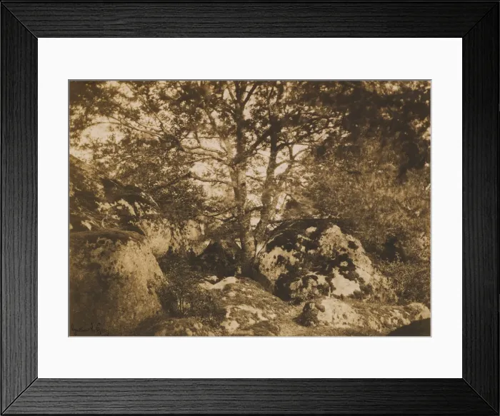 Framed Print : [Oak Tree and Rocks, Forest of Fontainebleau], 1849-52. Creator: Gustave Le Gray