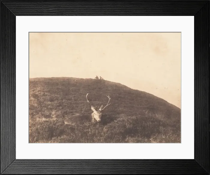 Framed Print : Hunters Stalking a Deer, ca. 1857. Creator: Horatio Ross Framed Print : Hunters Stalking a Deer, ca. 1857. Creator: Horatio Ross