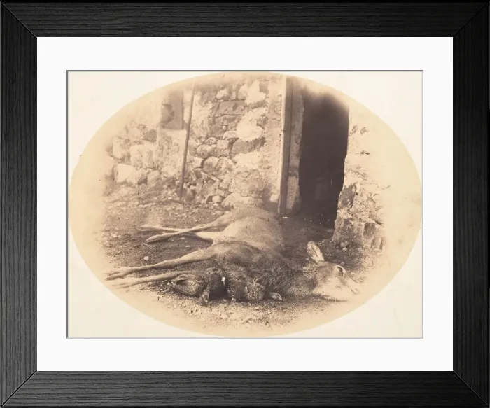 Framed Print : Dead Female Deer and Game Bird, ca. 1856-59. Creator: Horatio Ross Framed Print : Dead Female Deer and Game Bird, ca. 1856-59. Creator: Horatio Ross