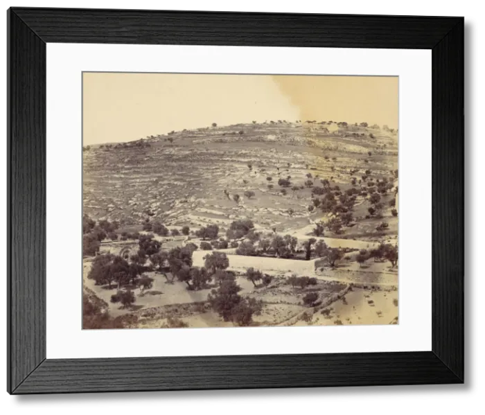 Framed Print : Garden of Gethsemane and the Tomb of the Virgin, Jerusalem, 1860s. Creator: John Anthony Framed Print : Garden of Gethsemane and the Tomb of the Virgin, Jerusalem, 1860s. Creator: John Anthony