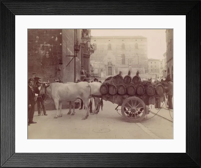 Framed Print : Carro con buoi, Perugia, 1880s. Creator: James Anderson Framed Print : Carro con buoi, Perugia, 1880s. Creator: James Anderson