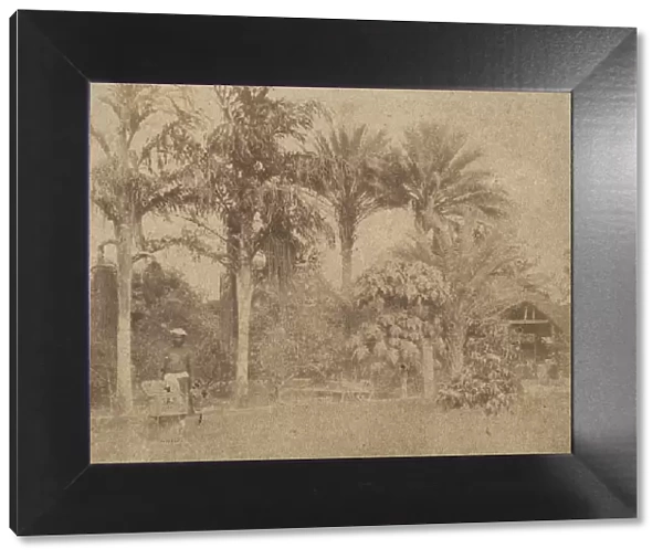 [Gardens, Government House, Allahabad], 1858. Creator: John Constantine Stanley