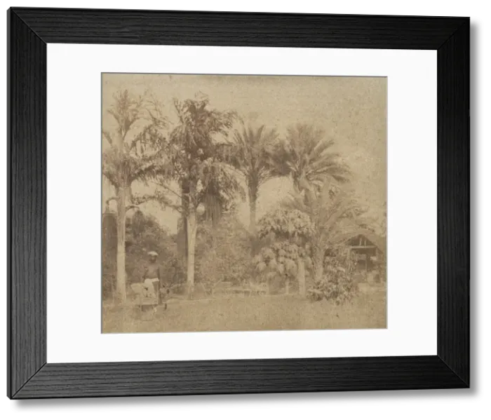 Framed Print : [Gardens, Government House, Allahabad], 1858. Creator: John Constantine Stanley