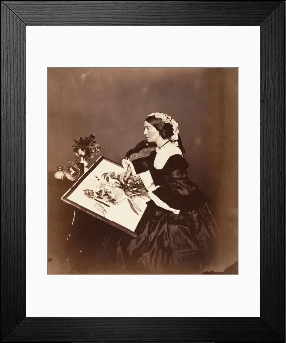 Framed Print : The Countess Canning, Calcutta, 1861. Creator: Josiah Rowe Framed Print : The Countess Canning, Calcutta, 1861. Creator: Josiah Rowe