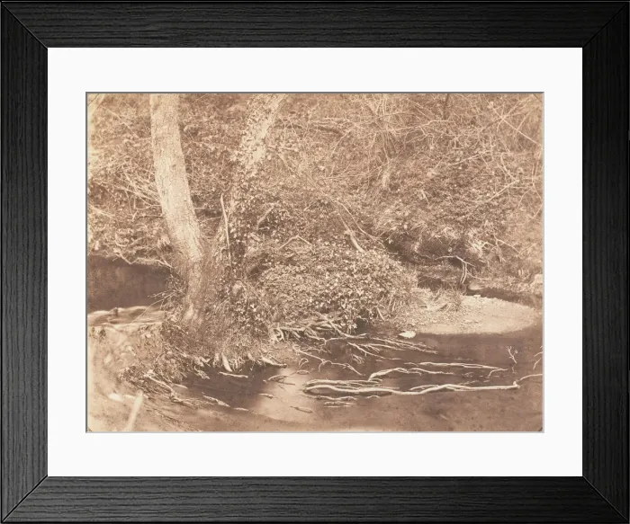 Framed Print : [Tree and Brush in Creek Scene], 1853-56. Creator: John Dillwyn Llewelyn