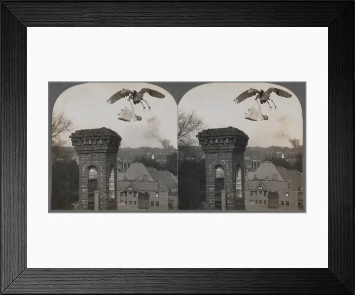 Framed Print : In Olden Times, if Folks Were Good, the Stork Would Bring a Baby Sweet and Fair, 1907 Framed Print : In Olden Times, if Folks Were Good, the Stork Would Bring a Baby Sweet and Fair, 1907