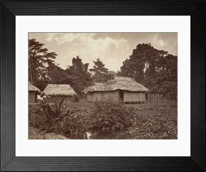 Framed Print : Tropical Scenery, Turbo Village, 1871. Creator: John Moran Framed Print : Tropical Scenery, Turbo Village, 1871. Creator: John Moran