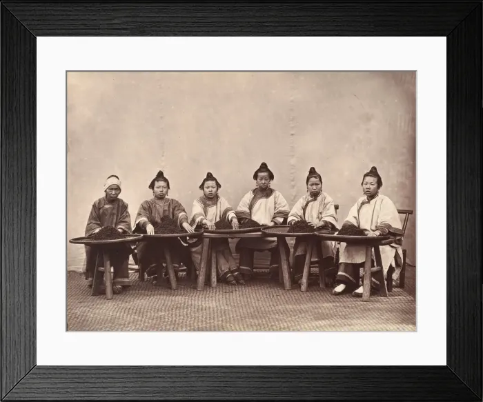 Framed Print : Culling Tea, ca. 1869. Creator: Attributed to Lai Fong Framed Print : Culling Tea, ca. 1869. Creator: Attributed to Lai Fong
