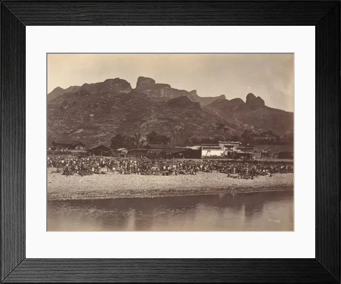Framed Print : Duck Market, ca. 1869. Creator: Afong Lai Framed Print : Duck Market, ca. 1869. Creator: Afong Lai