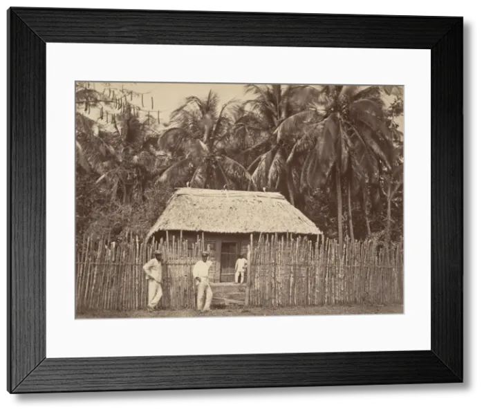 Framed Print : Tropical Scenery, Native Hut, Turbo, 1871. Creator: John Moran Framed Print : Tropical Scenery, Native Hut, Turbo, 1871. Creator: John Moran