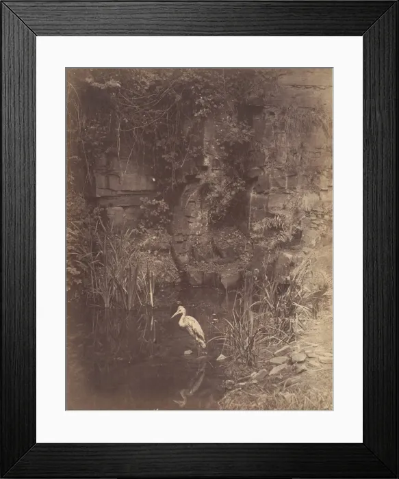 Framed Print : Piscator, No. 2, 1856. Creator: John Dillwyn Llewelyn Framed Print : Piscator, No. 2, 1856. Creator: John Dillwyn Llewelyn