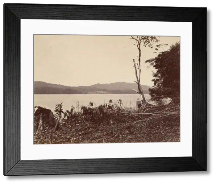 Framed Print : Tropical Scenery, Darien Harbor, Chipigana, 1871. Creator: John Moran Framed Print : Tropical Scenery, Darien Harbor, Chipigana, 1871. Creator: John Moran
