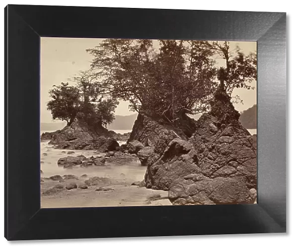 Tropical Scenery, Limon Bay - Low Tide, 1871. Creator: John Moran