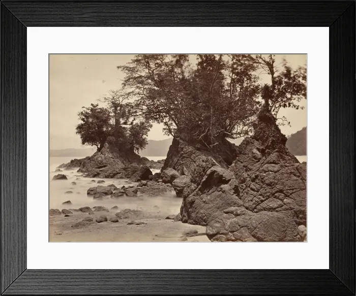 Framed Print : Tropical Scenery, Limon Bay - Low Tide, 1871. Creator: John Moran Framed Print : Tropical Scenery, Limon Bay - Low Tide, 1871. Creator: John Moran