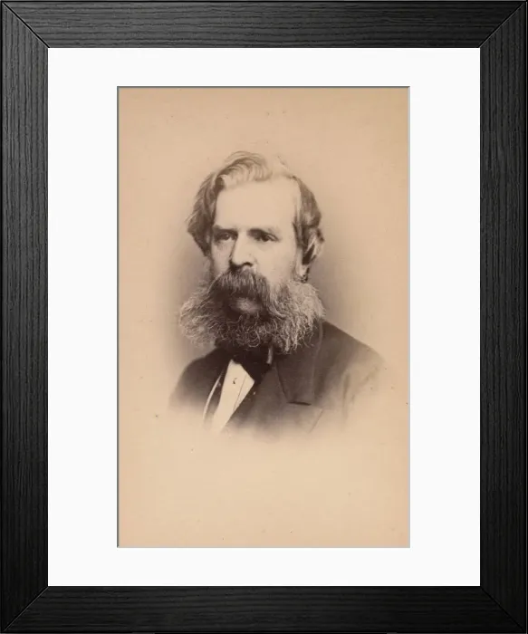 Framed Print : Alexander Johnston, 1860s. Creator: John & Charles Watkins Framed Print : Alexander Johnston, 1860s. Creator: John & Charles Watkins