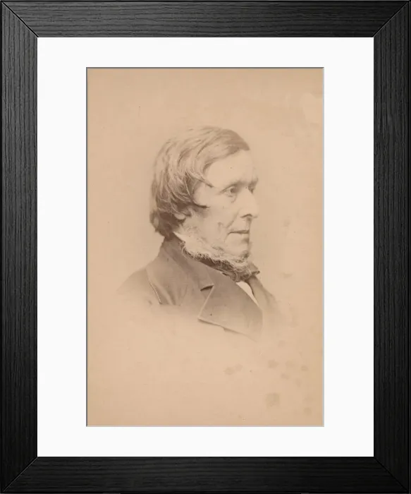 Framed Print : Sir William Boxall, 1860s. Creator: John & Charles Watkins Framed Print : Sir William Boxall, 1860s. Creator: John & Charles Watkins