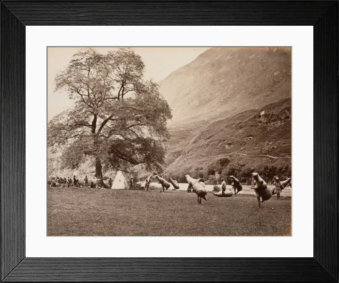 Framed Print : Mussucks for Crossing the Beas River Below Bajoura, 1866. Creator: Samuel Bourne Framed Print : Mussucks for Crossing the Beas River Below Bajoura, 1866. Creator: Samuel Bourne